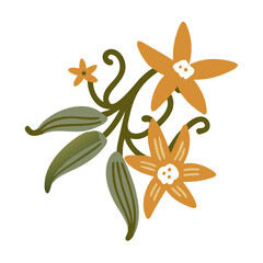 Vanilla Planifolia Flower and Leaves Illustration