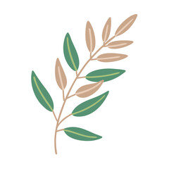 Lemon Eucalyptus Branch Vector Illustration