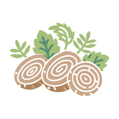 Stylized Japanese Cypress Wood Slices and Leaves