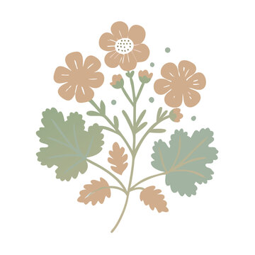 Rose Geranium Floral Illustration, Delicate Design