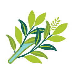 Cinnamon Leaf Vector Illustration, Cinnamomum Verum