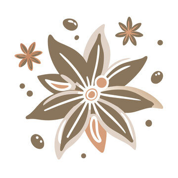 recommend clip art: Stylized Star Anise Illustration with Seeds