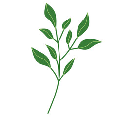 Leaf Branch, Tree Branch with leaves