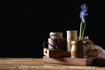 Beautiful hyacinth plant in jug with peat pots on wooden table against black background