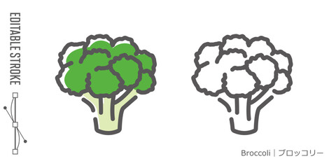 野菜のラインアイコンと色付きアイコンのセット｜ブロッコリー