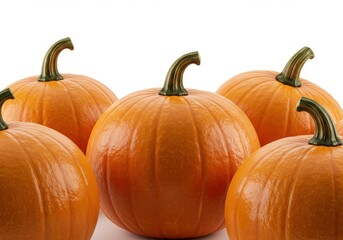 Fototapeta premium Pumpkins orange vibrant autumn harvest