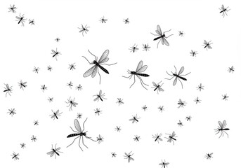Swarm mosquitoes white background black
