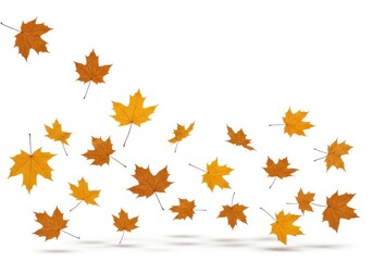Falling autumn leaves scattered golden