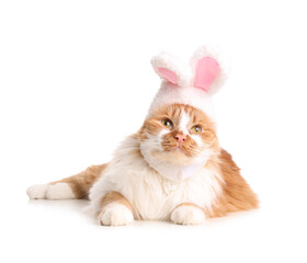 Cute cat in bunny ears lying on white background. Easter celebration