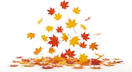 Crimson And Gold Autumn Descent Autumn Leaves Dance On White Falling Leaves A Colorful Cascade Maple Leaf Ballet Orange Red Yellow Leaf Fall Golden Autumn A Flutter Of Autumn Autumn's Gentle Descent