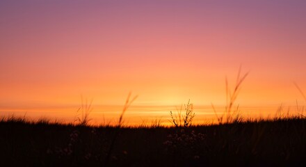Naklejka premium Sunset over grassy field silhouette.