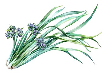 Obraz premium Watercolor illustration fresh green onions with intricate details, isolated on white