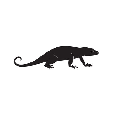 recommend clip art: Silhouette of a lizard and iguana on black and white backgrounds with wild animal illustrations