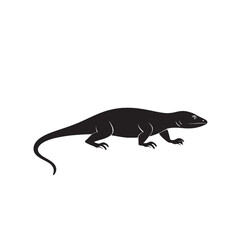 Fototapeta premium Sharp Skink Silhouette with Long Legs