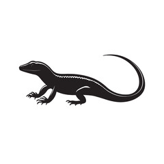 Fototapeta premium Wildlife Silhouette Skink on Rock