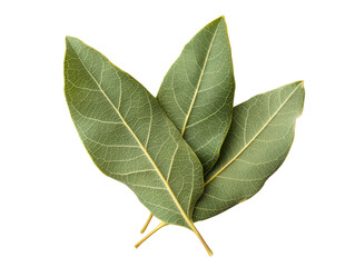 Obraz premium Culinary action preparing condiment bay leaves kitchen food styling isolated top-down view flavorful concept