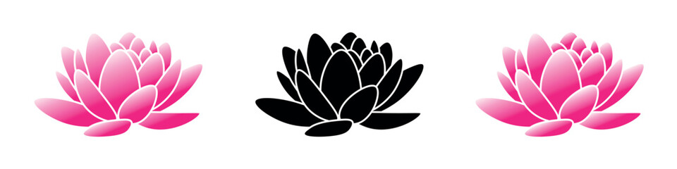 Lostus flowers. Elegant lotus blossom. Pink and black lotus floral.