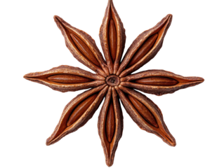 Exploring unique star anise as a food condiment cut out background artistic presentation culinary concept