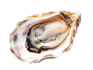 Oyster condiment delights coastal beach food photography fresh environment close-up culinary experience