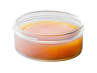 Savory condiment creation kitchen counter food photography bright lighting close-up shot delicious recipe