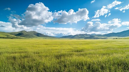 Fototapeta premium Serene Green Meadow Landscape Under Blue Sky with Fluffy White Clouds Rolling Hills Scenic Pastoral Countryside Summer Nature Photography Breathtaking View Beautiful Scenery Tranquil Peaceful Idyllic 