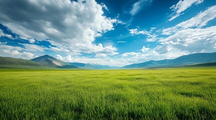 Obraz premium Serene Green Meadow Landscape Stunning Mountain Range Background Picturesque Summer Day Nature Scenery Breathtaking View Beautiful Cloudscape 