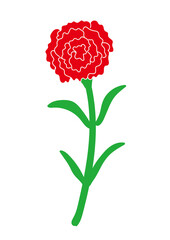 カーネーション