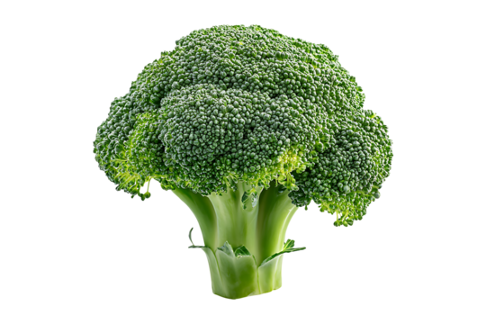 Broccoli for best health isolated on transparent background
