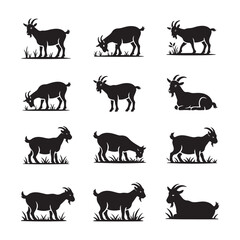 Fototapeta premium Goat Silhouettes, Various Poses and Activities.