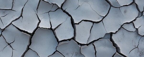Obraz premium Dry Cracked Surface Background Texture with Fine Lines and Patterns
