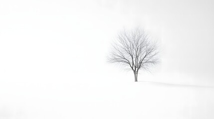 Solitary Tree in Minimalist Winter Landscape with White Background