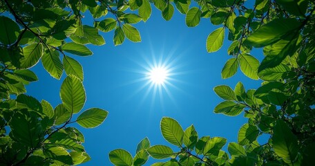 Sunlight peering through green leaves against clear blue sky