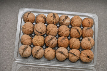 24 walnuts in PVC Egg Holders, Transparent Eggs Storage Box