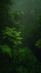 Lush rainforest scene in the rain, showcasing vibrant green foliage and a mystical atmosphere. Ideal for backgrounds, travel, nature documentaries, and websites.