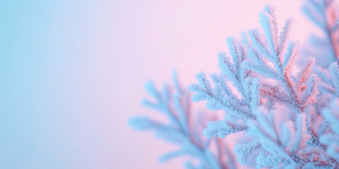 Frost covered pine branches in winter twilight with soft pink and blue sky