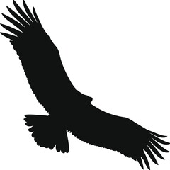 Soaring Condor Silhouette Vector – Majestic Wingspan, Minimalist Design with Smooth, Powerful Outline