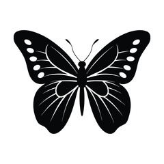butterfly vector illustration