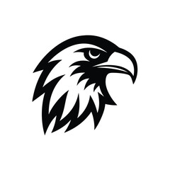 eagle head vector illustration