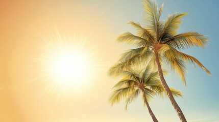 Tropical Palm Trees Under Bright Sunlight on Clear Blue Sky