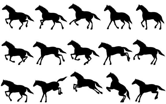 サラブレッド Images – Browse 3,071 Stock Photos, Vectors