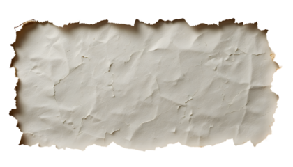 Burned Edges Paper Texture Grunge Background with Torn and Scorched Details