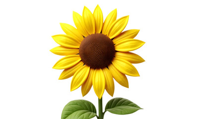 Obraz premium Blooming Sunflower with Green Leaves on a Transparent Background Close-up