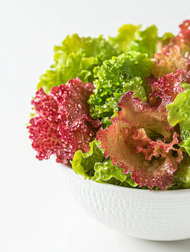 Closeup of fresh and crisp green and red coral lettuce leaves on a white bowl isolated