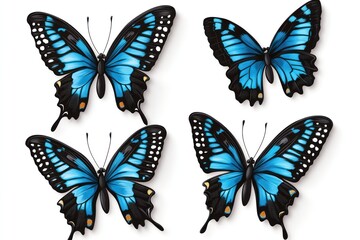 Four blue butterflies isolated white background graphic design element.