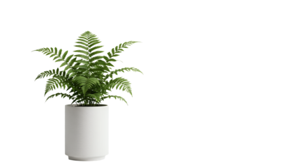 Green Fern in Transparent Pot against Clean Transparent Background for Decor