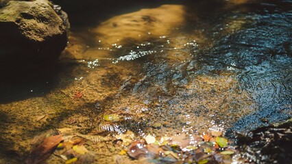 A serene stream flows over stones, surrounded by colorful autumn leaves, in Tak Thailand.