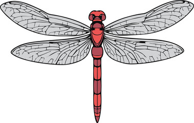 orange dragonfly logo.eps