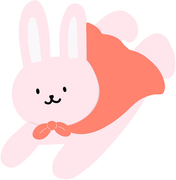 슈퍼맨 토끼