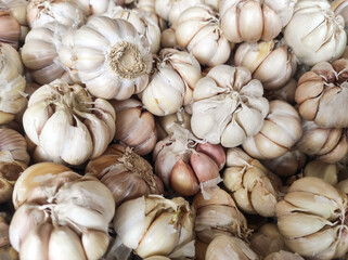 Group of white garlic stacked. Vegetable Backgrounds sold in traditional market shelves. Aromatic garlic spices. Texture and details. Vegetable Wallpapers. Pile of Onions. Copy space