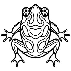 Frog on white background